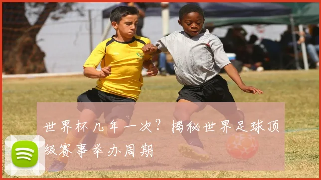 世界杯几年一次?揭秘世界足球顶级赛事举办周期